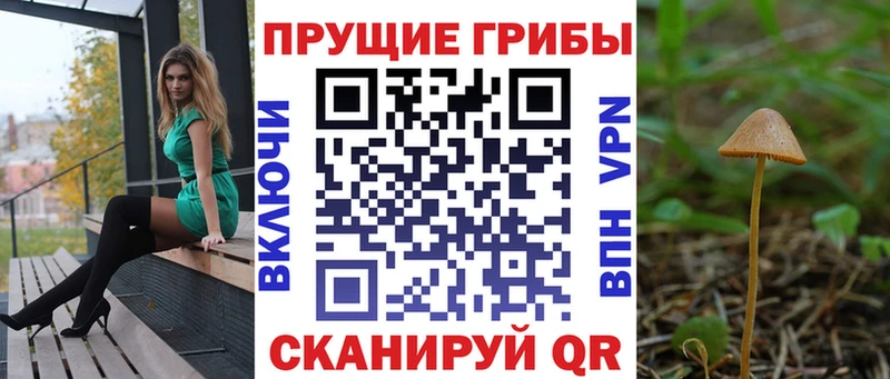 Галлюциногенные грибы Cubensis Кимры